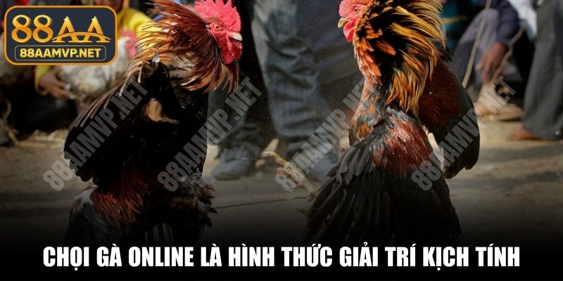 Chọi gà online là hình thức giải trí kịch tính, cuốn hút khó cưỡng